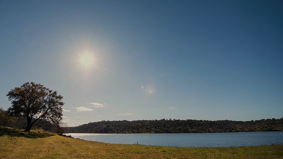 Bioregiao Barragem Marechal Carmona